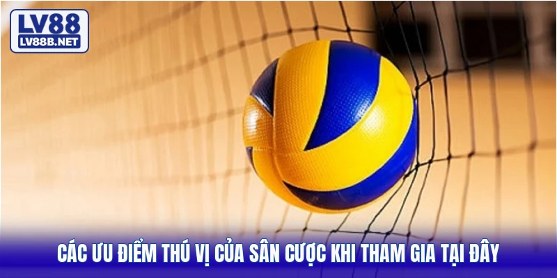 Các ưu điểm thú vị của sân cược khi tham gia tại đây