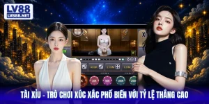 Tài Xỉu - Trò Chơi Xúc Xắc Phổ Biến Với Tỷ Lệ Thắng Cao
